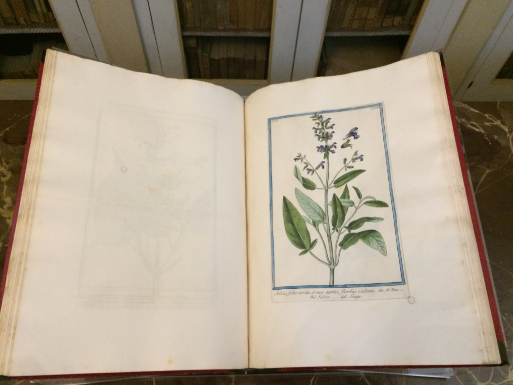 Faenza-una-biblioteca-botanica-da-riscoprire